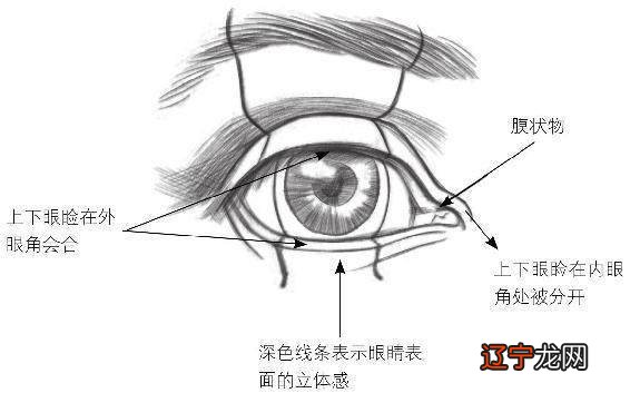 本期风水堂:眼睛看相图解大全,不一样的眼睛