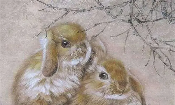 十二生肖风水堂:十二生肖当中，每个生肖都有着自己的属性