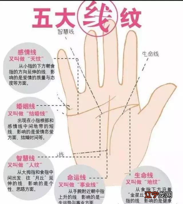 手相学中怎么看女性手相与运势呢?人的运势