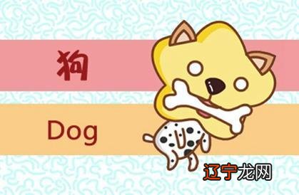 2006年属狗男女2018年运势大全06的青少年朋友