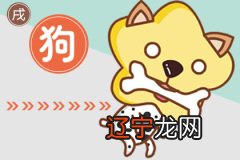 2006年属狗男女2018年运势大全06的青少年朋友