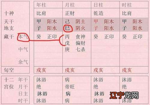 邵伟华四柱八字算命免费算八字排八字命盘解析