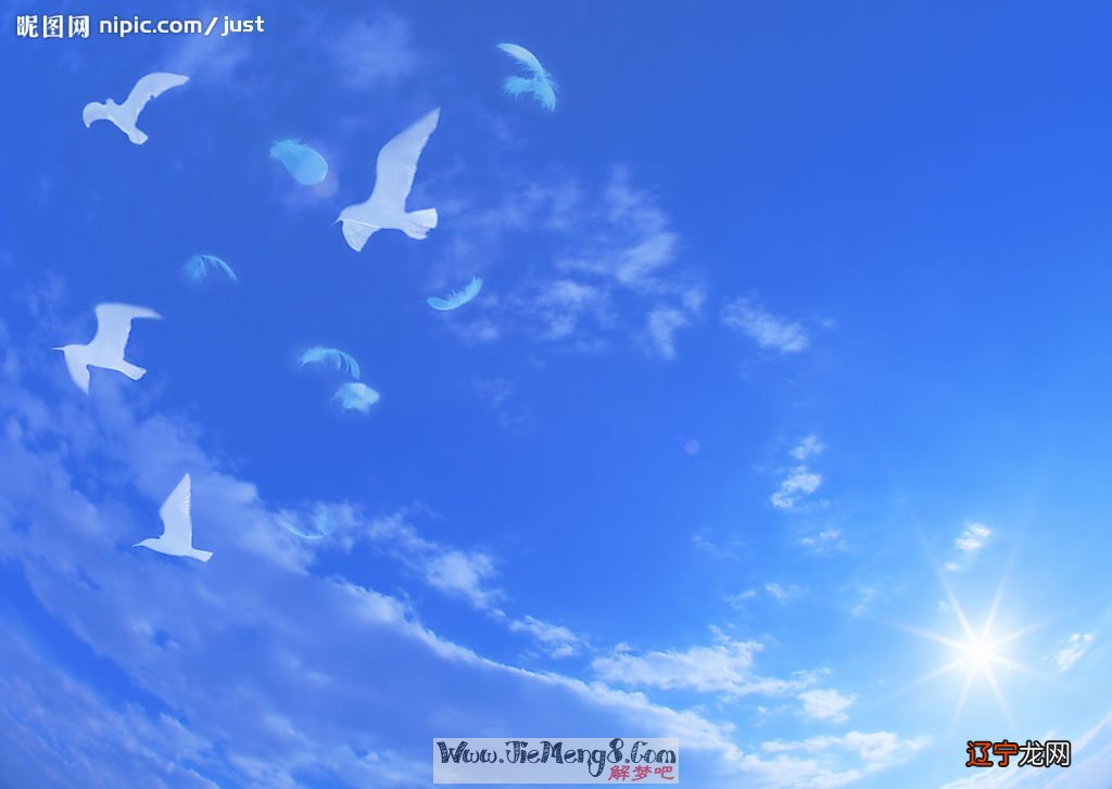 周公解梦：梦见自己会飞，职场新人如何整理而成