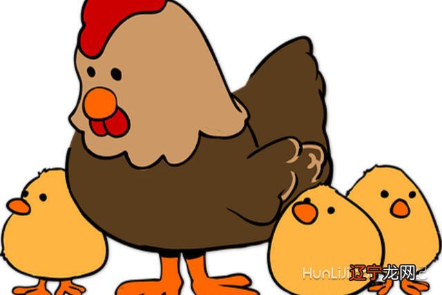 一月生属鸡、宜配 属鸡的属相婚配表大全