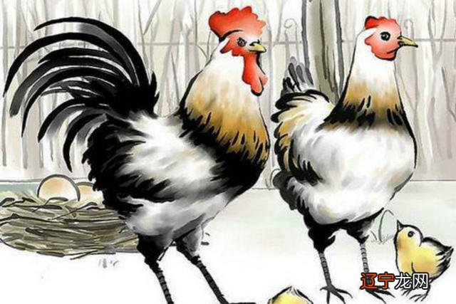 一月生属鸡、宜配 属鸡的属相婚配表大全