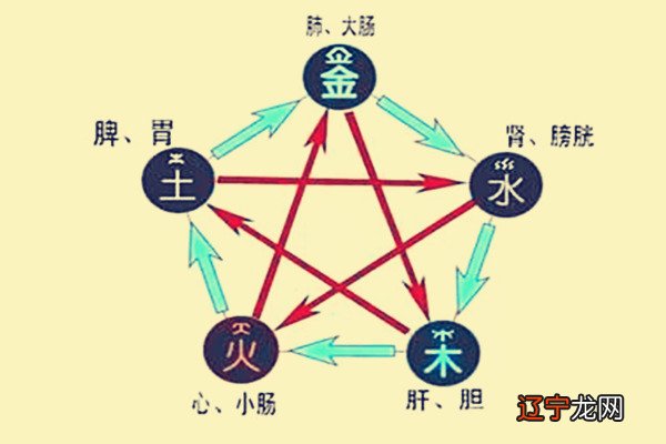 谢咏:怎么通过八字看你的健康指数如何?