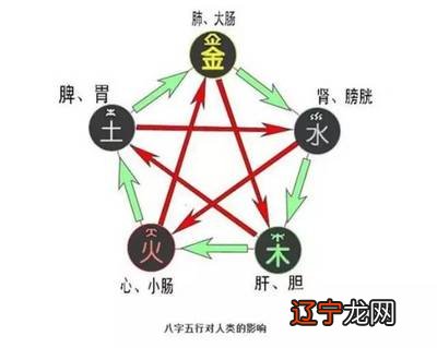 谢咏:怎么通过八字看你的健康指数如何?