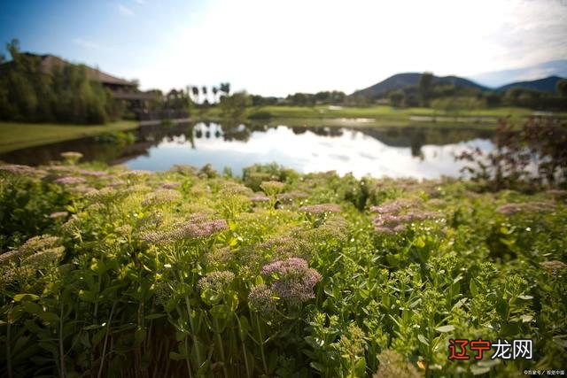 风水堂:八字算法的理论牵强