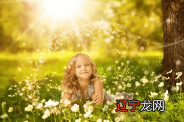 2023年出生的属兔女孩取名字,福气不减加倍!