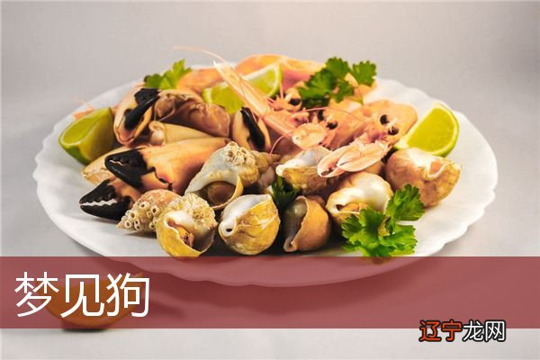 周公解梦梦见打狗梦见狗,预示和朋友关系良好!