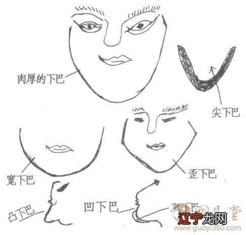面相下巴图解相下巴绝招,看完你就知道了