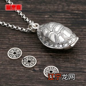 龟铜钱占卜 日一个人来相见,便就那那相见底时节算得