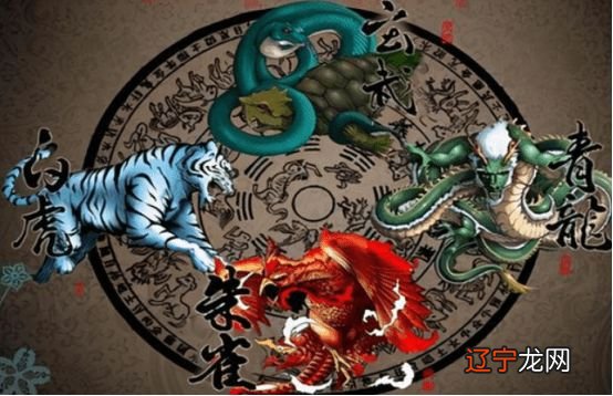 风水学 青龙 这句话的真正含义，几乎是不可能的事！