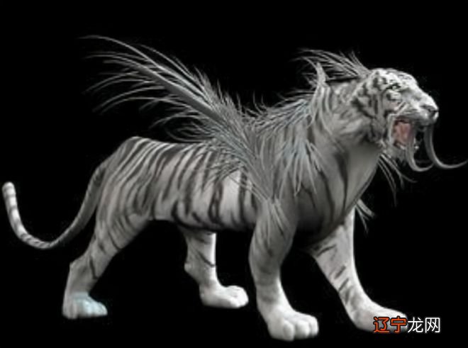 风水学 青龙 这句话的真正含义，几乎是不可能的事！