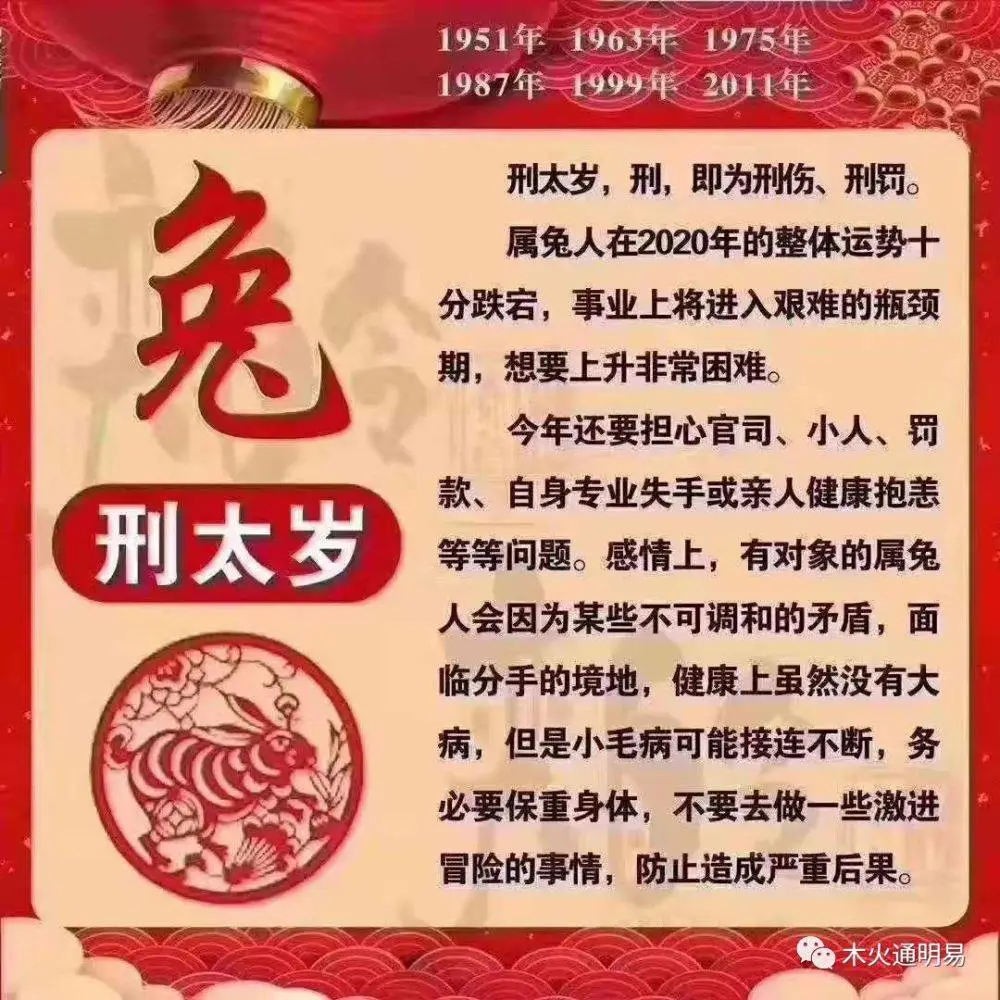 图 属兔人2022年全年运势吉凶点评2022年度生肖