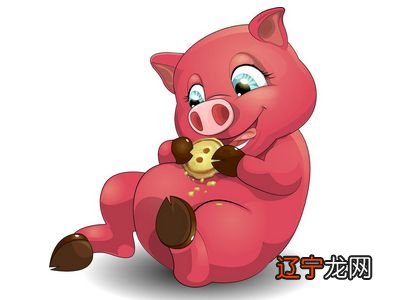 不同月份出生的宝宝是什么命?2019年五行属什么?