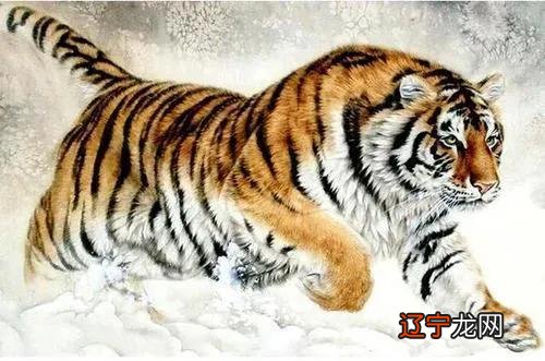 2018年属虎家应该走什么方位门，你知道吗？