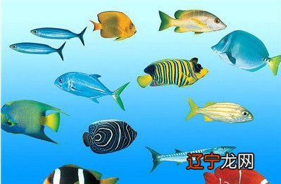 胎梦有什么寓意?预示着什么呢?帮大家“解梦”啦!