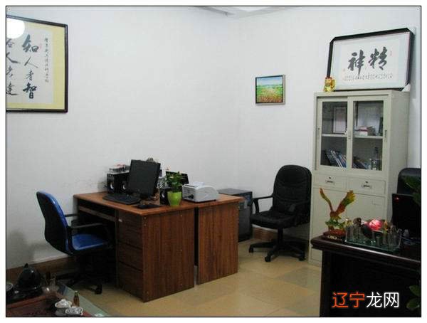 财务室里适合摆什么植物?里的财运怎么样