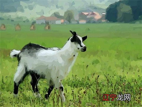 风水堂：2022年属羊人的运程