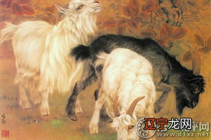 图 12生肖的手机幸运尾号该如何选择呢?