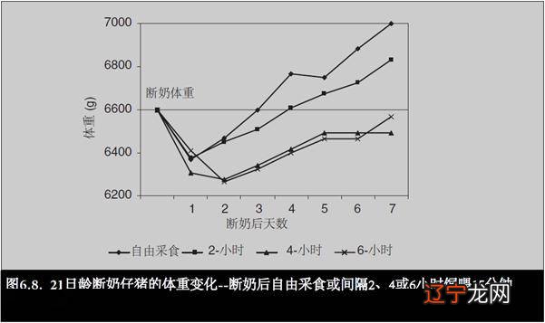 2019年3月29出生五行属什么_2019年1月11号属什么生肖_2019年4月3号出生宝宝五行属什么生肖