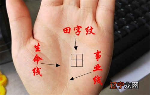 手相算命和生辰八字的算命知识不一样，生辰八字算命是