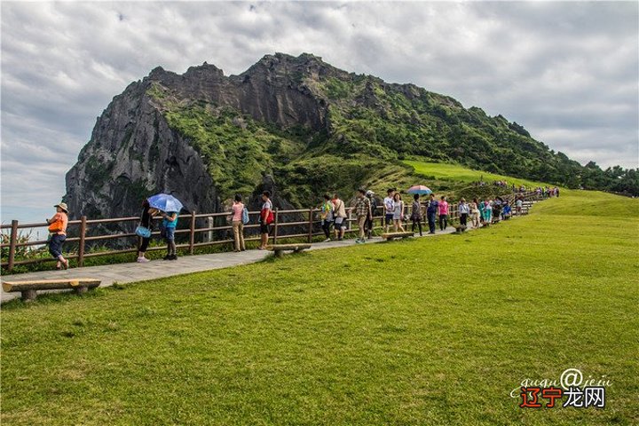梦见山上有很多枯树_梦见很多坟上冒烟_梦见很多西瓜有生有熟