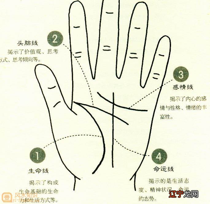 本源相法的确，记录了每个人的一生的经历！