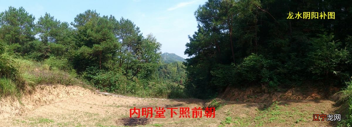 组图 许光达风水图解祖坟风水与八字之间的关系