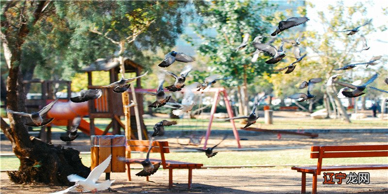 星座运势:大多数占星术的人来说,你了解吗?