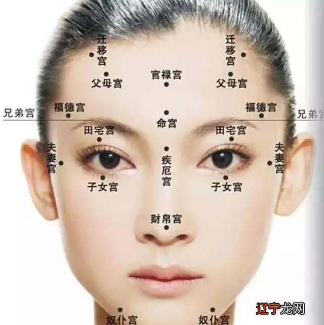 肛门有毛相学分析_何洁面相面相分析_相学面相全解分析