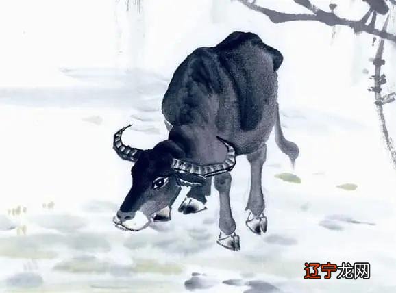 组图 2020年属猪人的全年运势女性年生肖狗运程女命篇