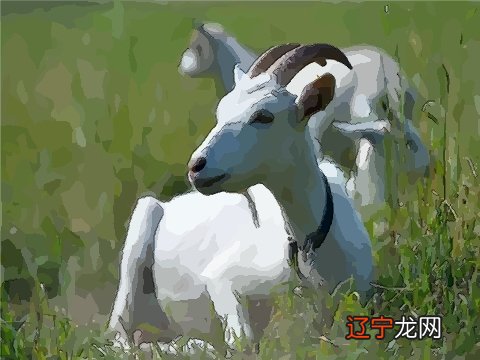 2022-05-312022年属马人的全年运势？