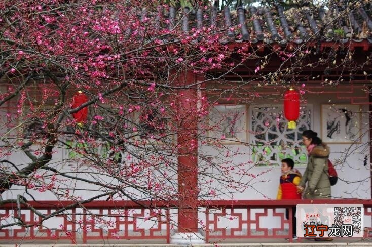 元宵北京灯会_南京传统民俗元宵灯会_天津元宵 灯会