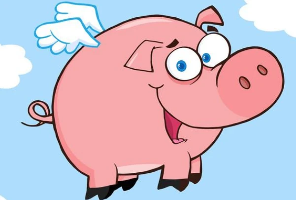 大部分人都不确定哪一年是什么生肖年，你知道吗？