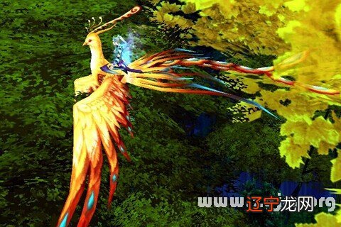 慈世堂：梦见女同学黄金凤凰首饰的爱情运势！