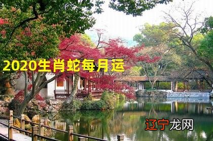 属蛇2021年运势及运程每月运程生肖蛇的性格特点