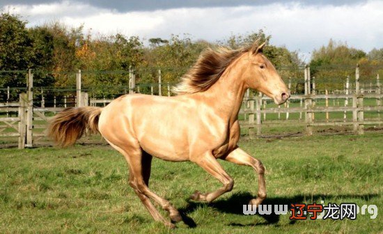 风水堂:梦见去世的父亲,意味着