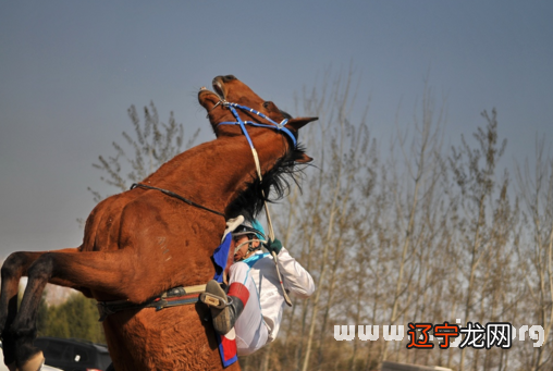 风水堂:梦见去世的父亲,意味着