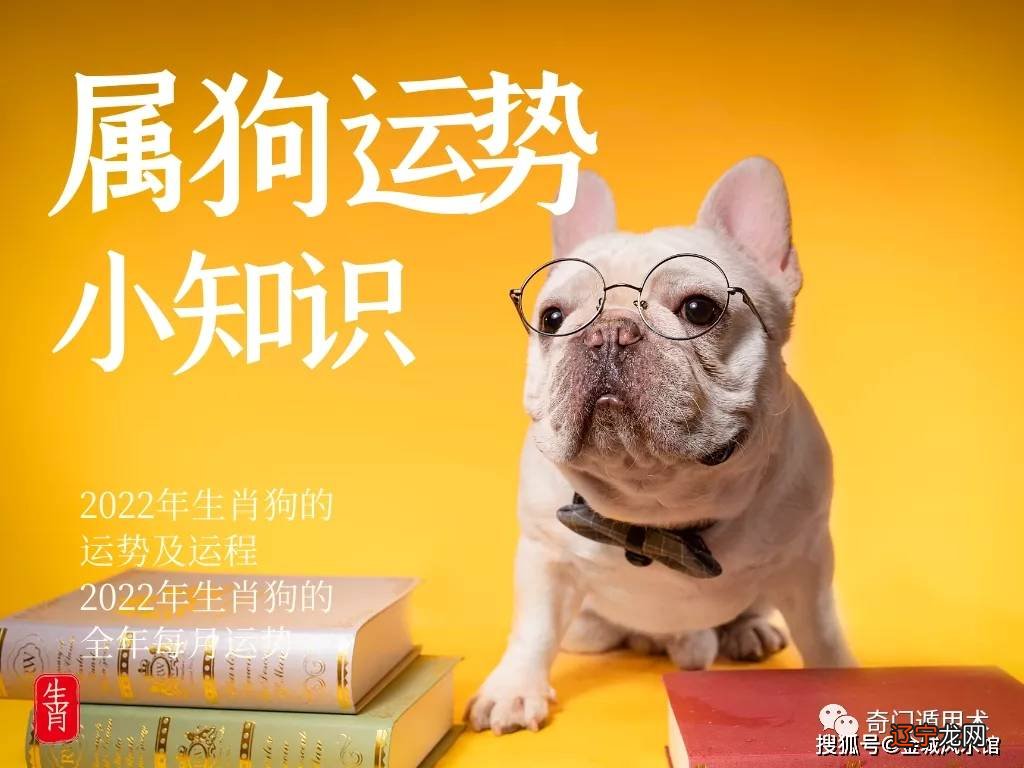 生肖狗今日运程 属蛇2020年运势及运程