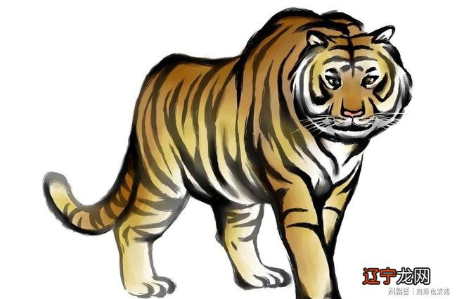 2022年属虎宝宝取名宜用字哪些字起名好?