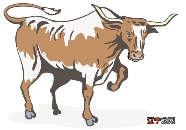 属牛和什么属相相克与牛相冲相克的属相
