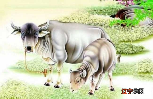 属牛和什么属相相克与牛相冲相克的属相