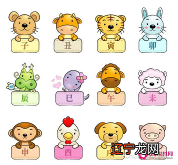 属牛和什么属相相克与牛相冲相克的属相