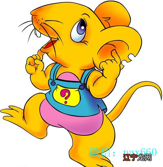 属鼠的和属蛇的相配的婚姻好吗看缘分？