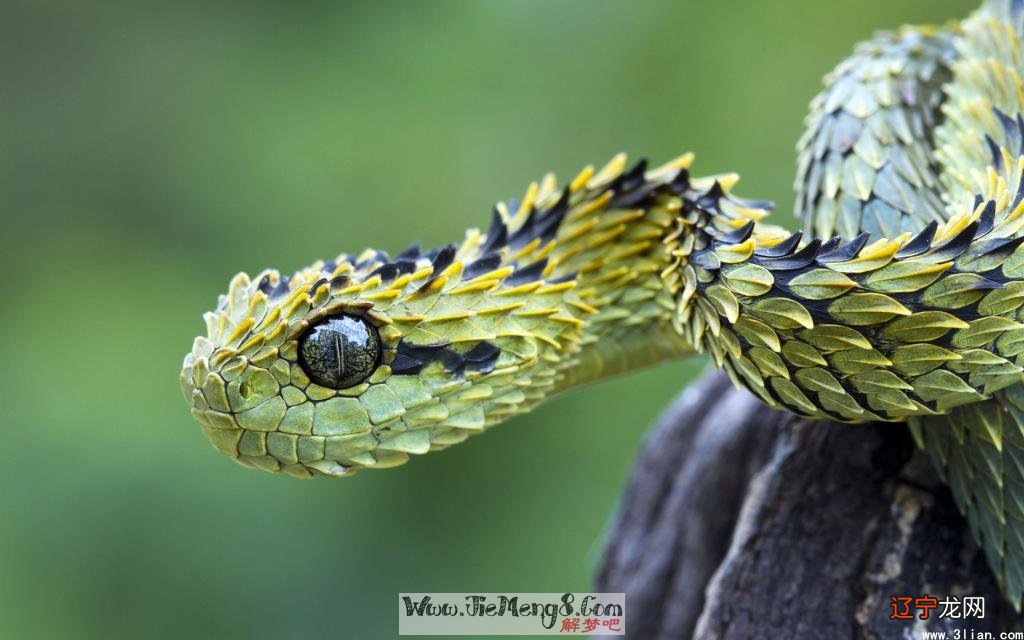 揭秘做这梦好吗，蜿蜒崎岖的小道百草丛生！