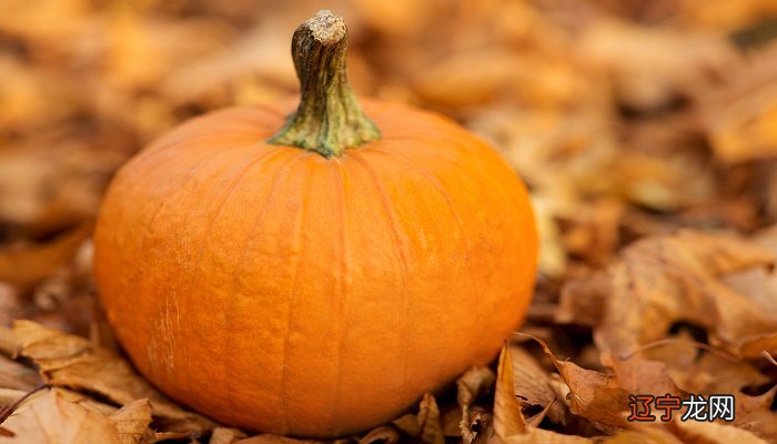 周公解梦：梦见南瓜，主风流事，讨厌世俗生活