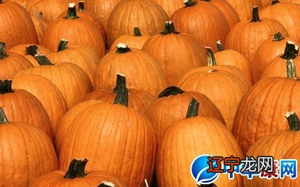 周公解梦：梦见南瓜，主风流事，讨厌世俗生活