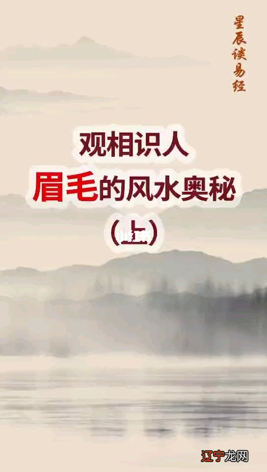 一下男人八字眉毛的男人命运好不好么?92猴男和95猪女姻缘属相